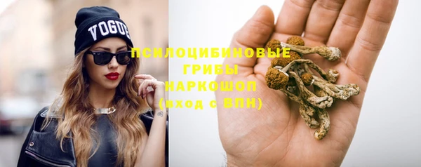 первитин Богородск