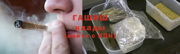 spice Богданович