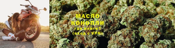 spice Богданович