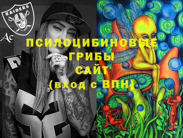 первитин Богородск